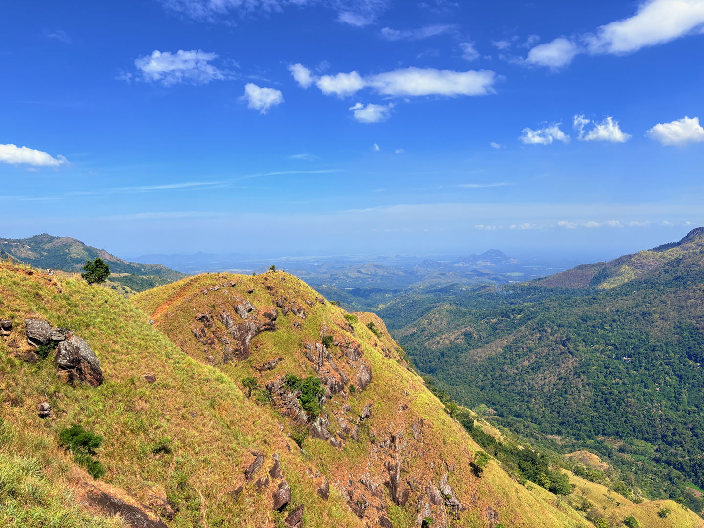 A green ridge running away into the haze, seen from the path along its spine.
