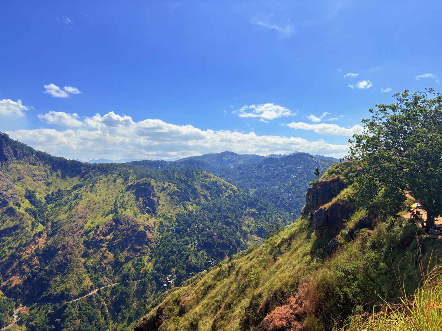 A path of worn earth running along the spine of a grassy ridge, with tea slopes falling away on both sides and hills behind.